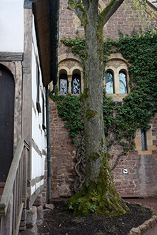 Wartburg Eisenach 2017